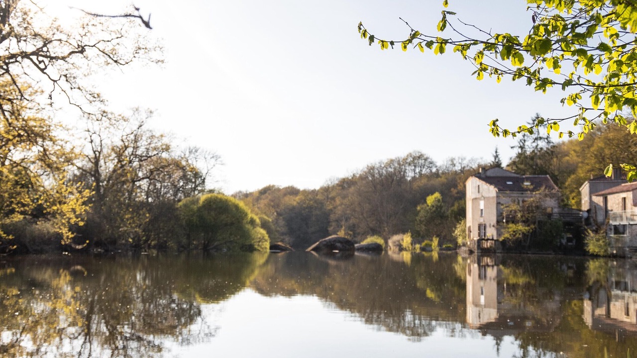 Photo of Others in Mortagne-sur-Sevre