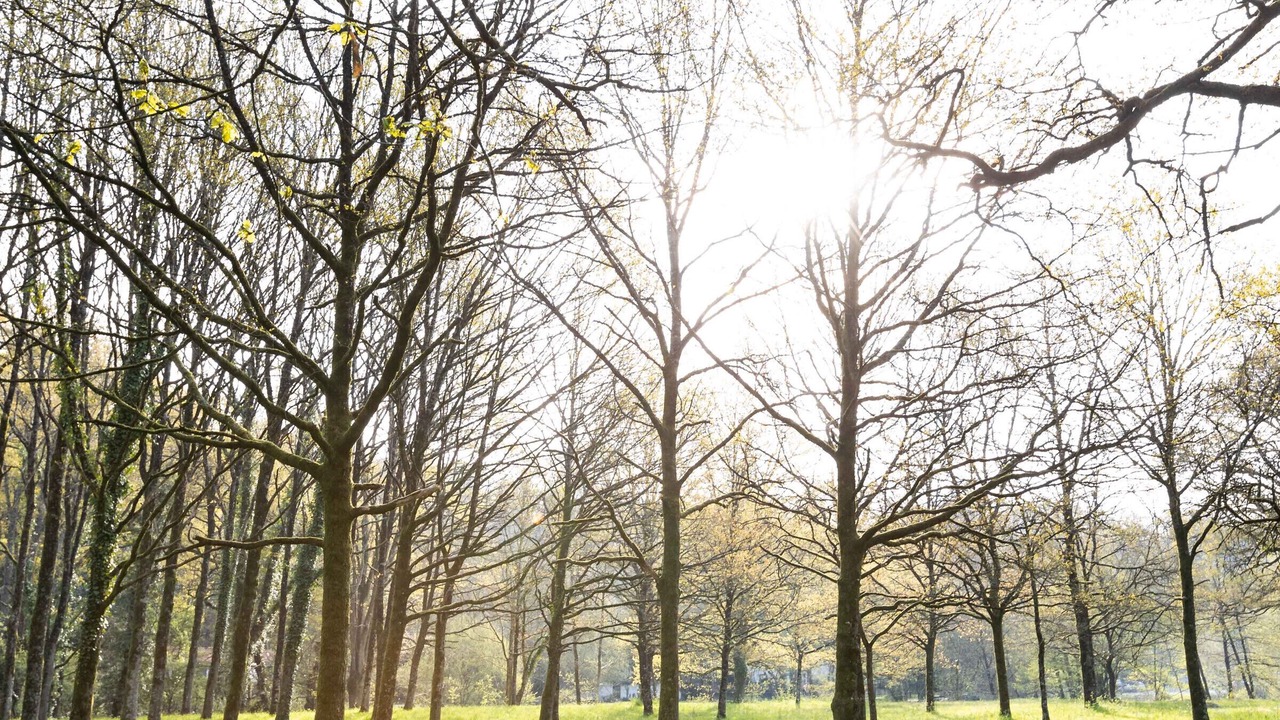 Photo of Outdoor in Mortagne-sur-Sevre