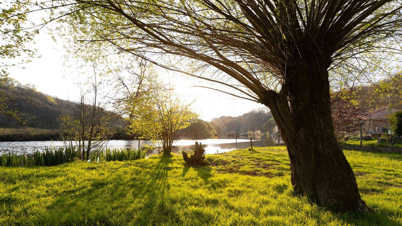Photo of Outdoor in Mortagne-sur-Sevre