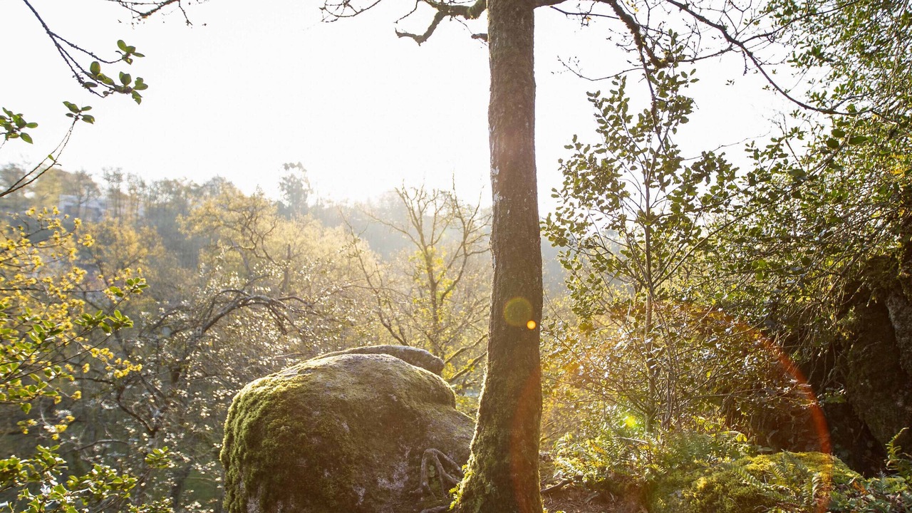 Photo of Outdoor in Mortagne-sur-Sevre