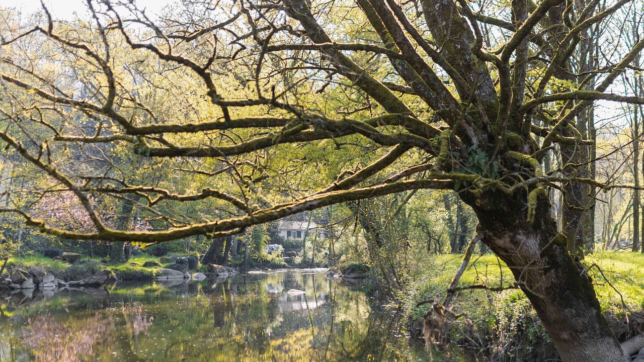 Photo of Outdoor in Mortagne-sur-Sevre