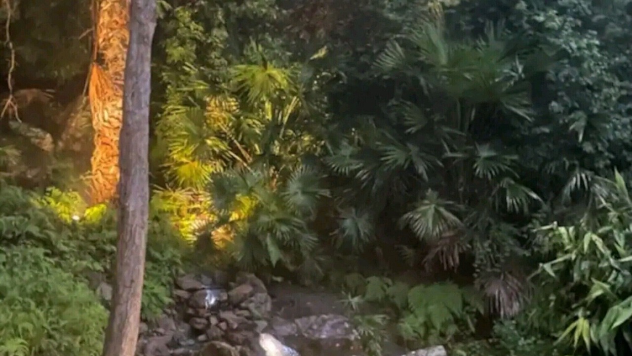 Photo of Others in Great Mackerel Beach