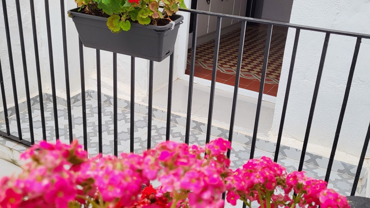 Photo of Outdoor in San Jorge