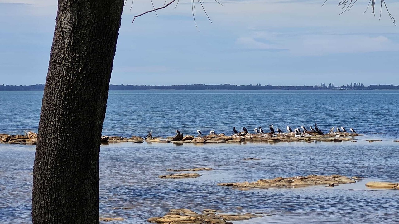 Photo of Others in Karraganbah