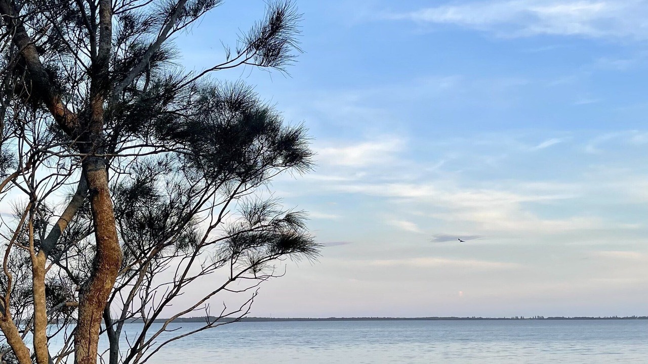 Photo of Others in Karraganbah