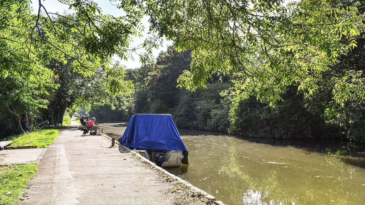 Photo of Others in Bumble's Green