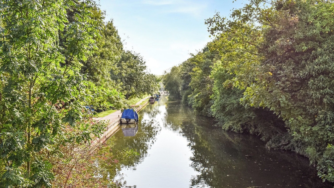 Photo of Others in Bumble's Green