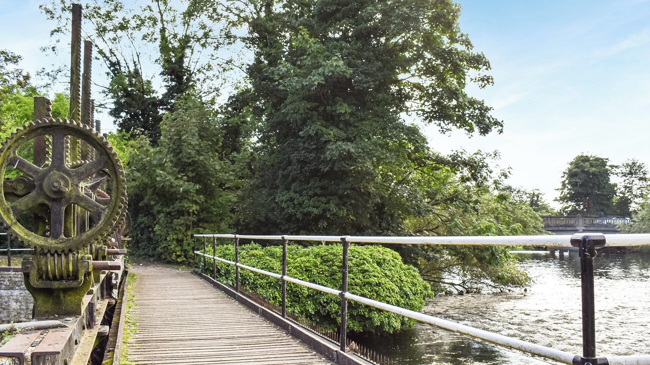 Photo of Others in Bumble's Green