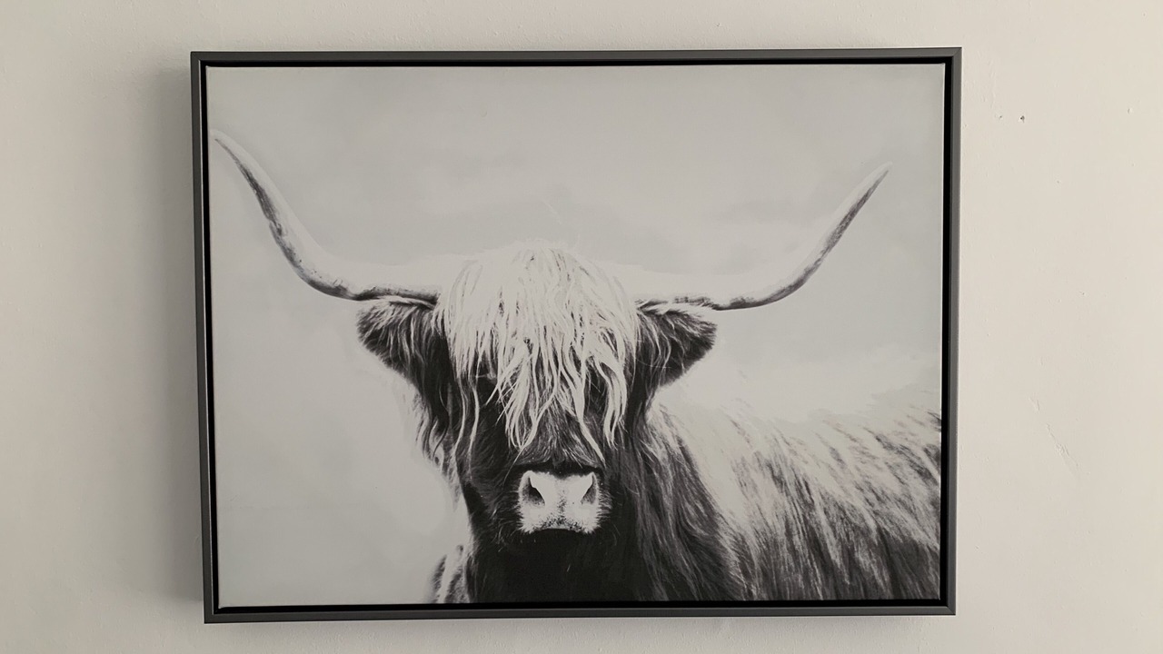 Photo of Others in Clydebank