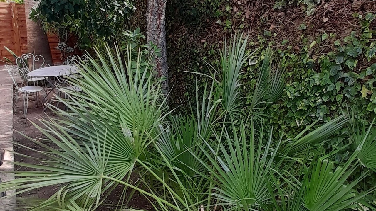 Photo of Outdoor in Armissan