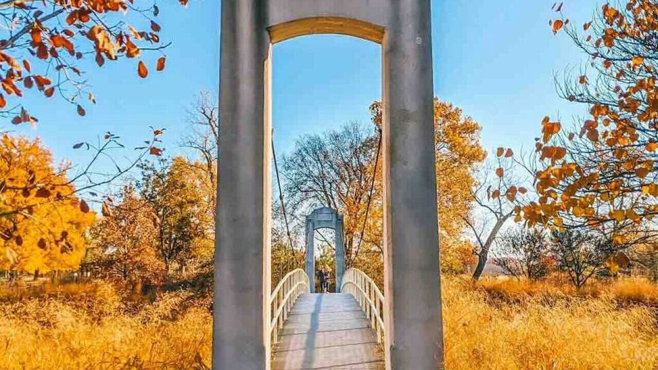 Photo of Others in St. Louis
