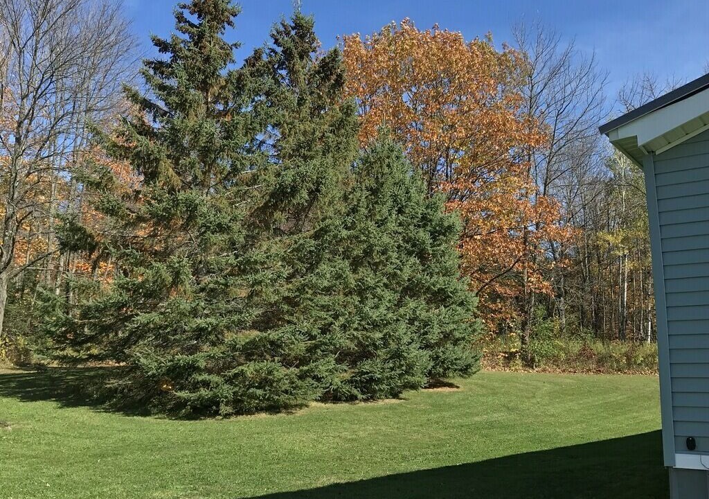Photo of Outdoor in Bessemer