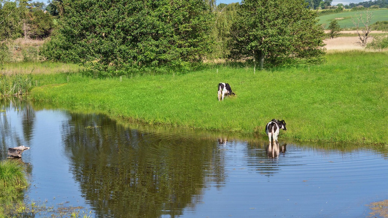 Photo of Others in Fynshav