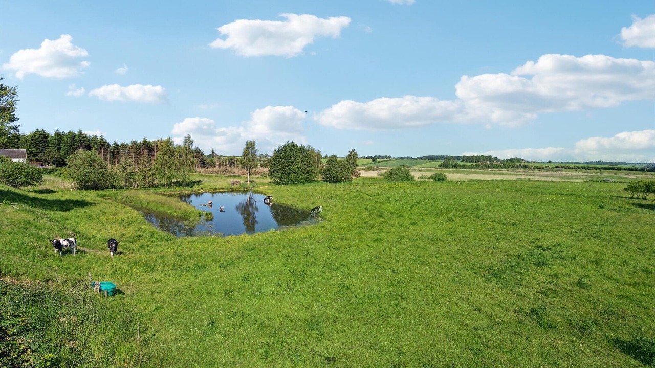 Photo of Others in Fynshav