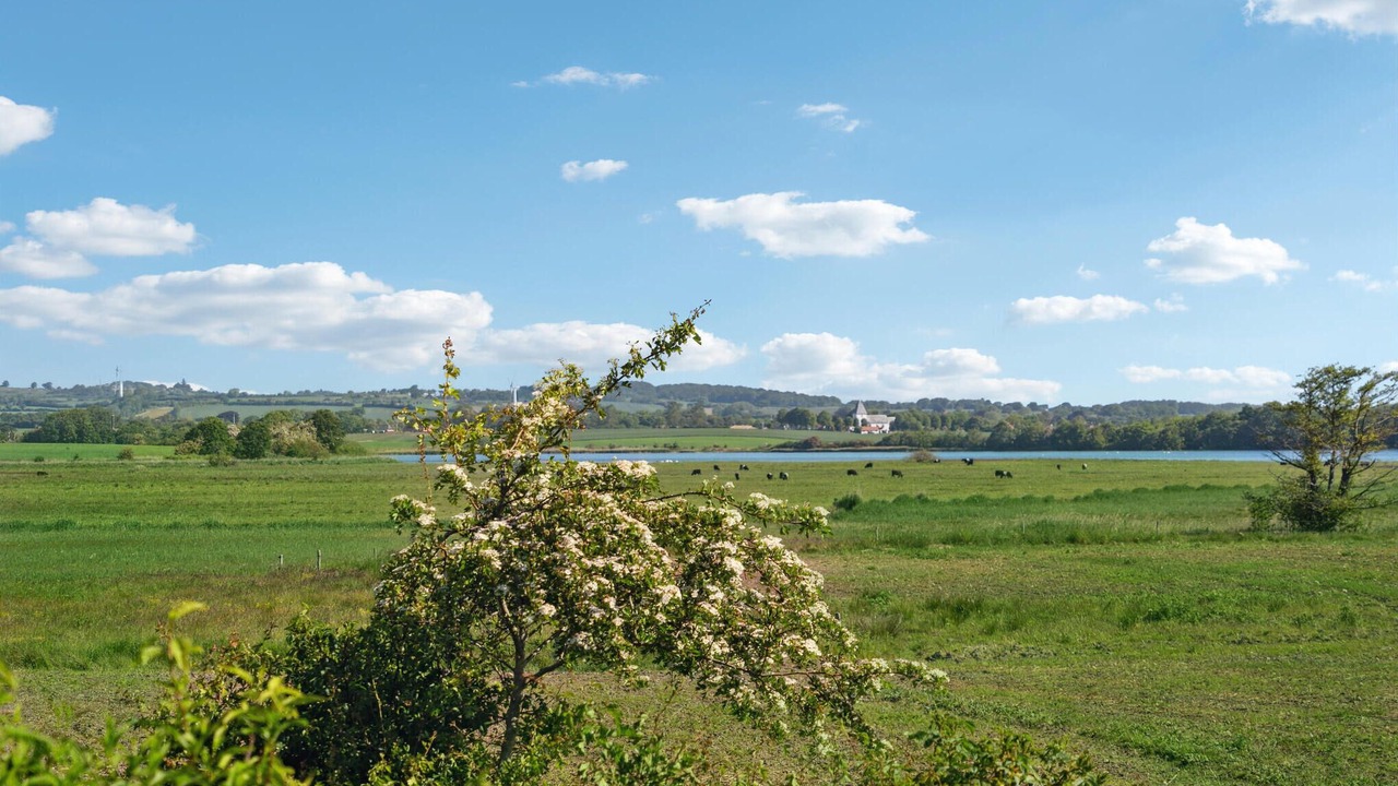 Photo of Bedroom in Fynshav