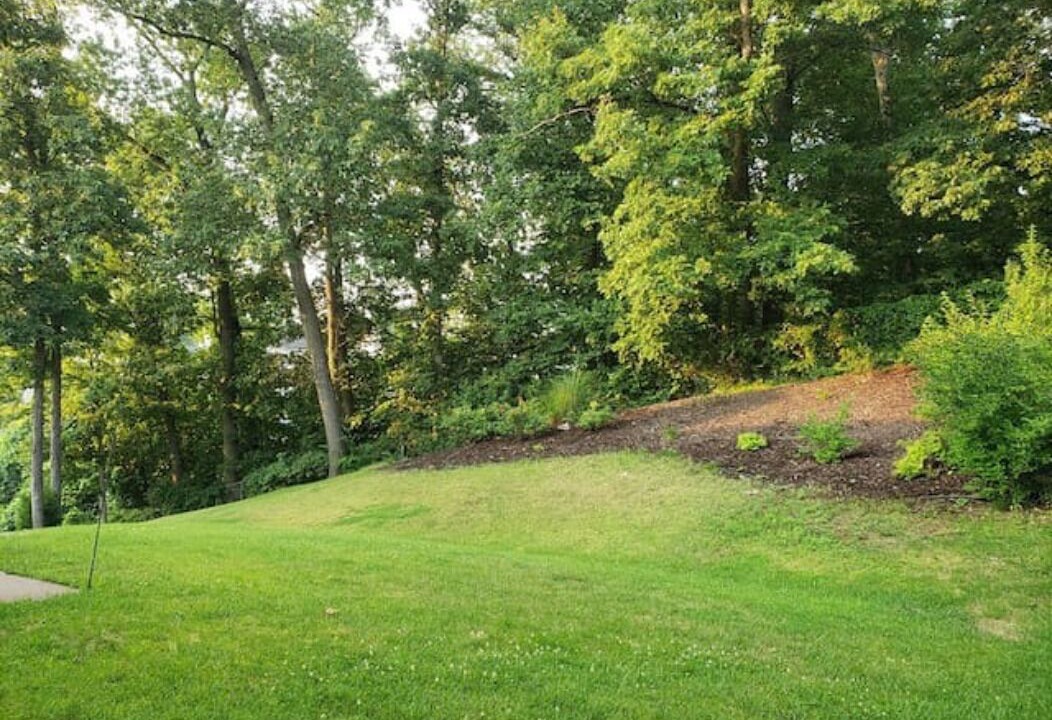 Photo of Outdoor in Mehlville