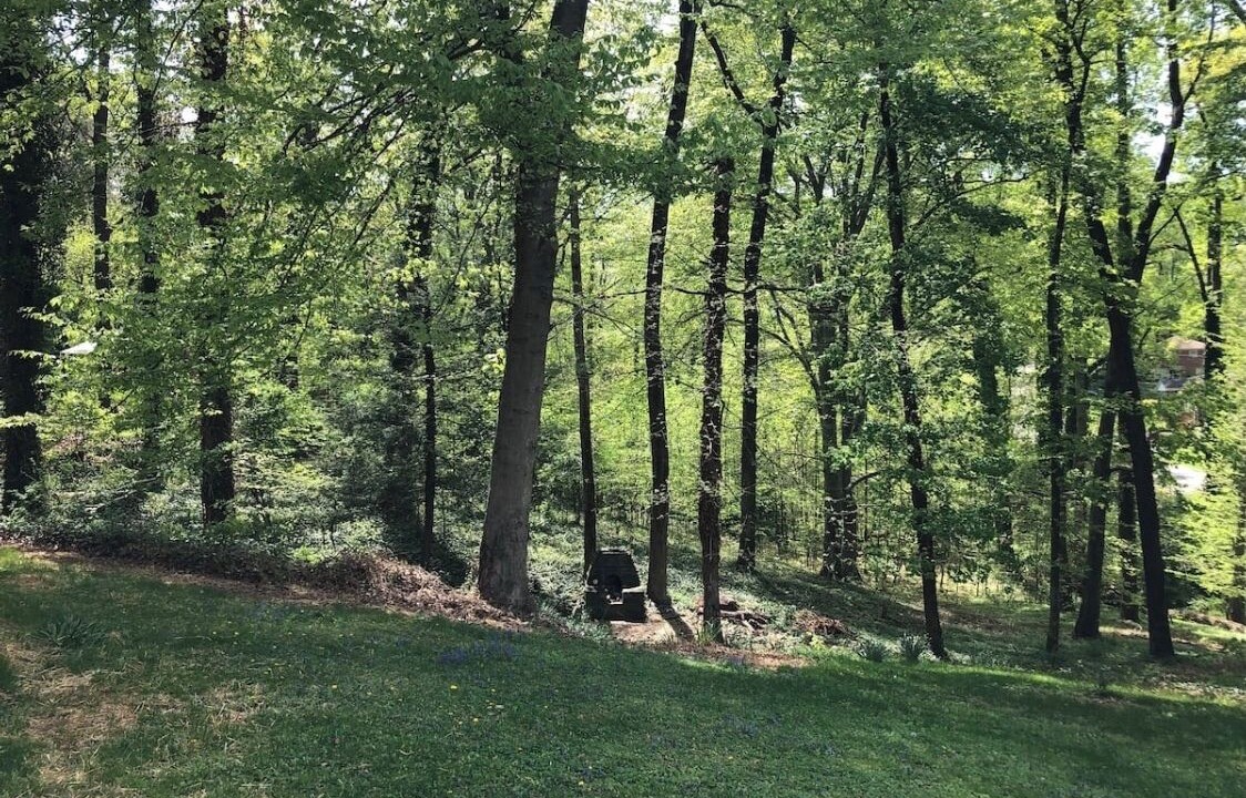Photo of Others in Lynchburg