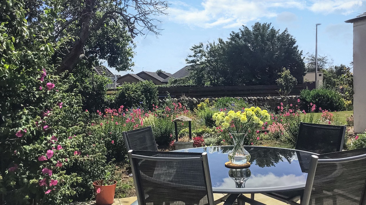 Photo of Others in Carnoustie