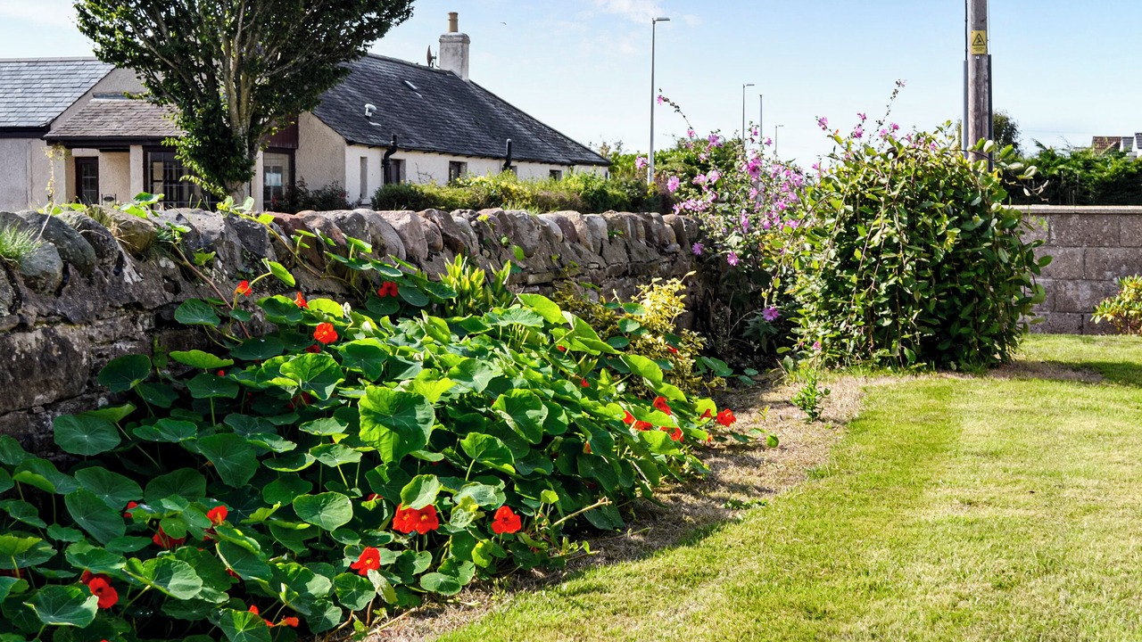 Photo of Outdoor in Carnoustie