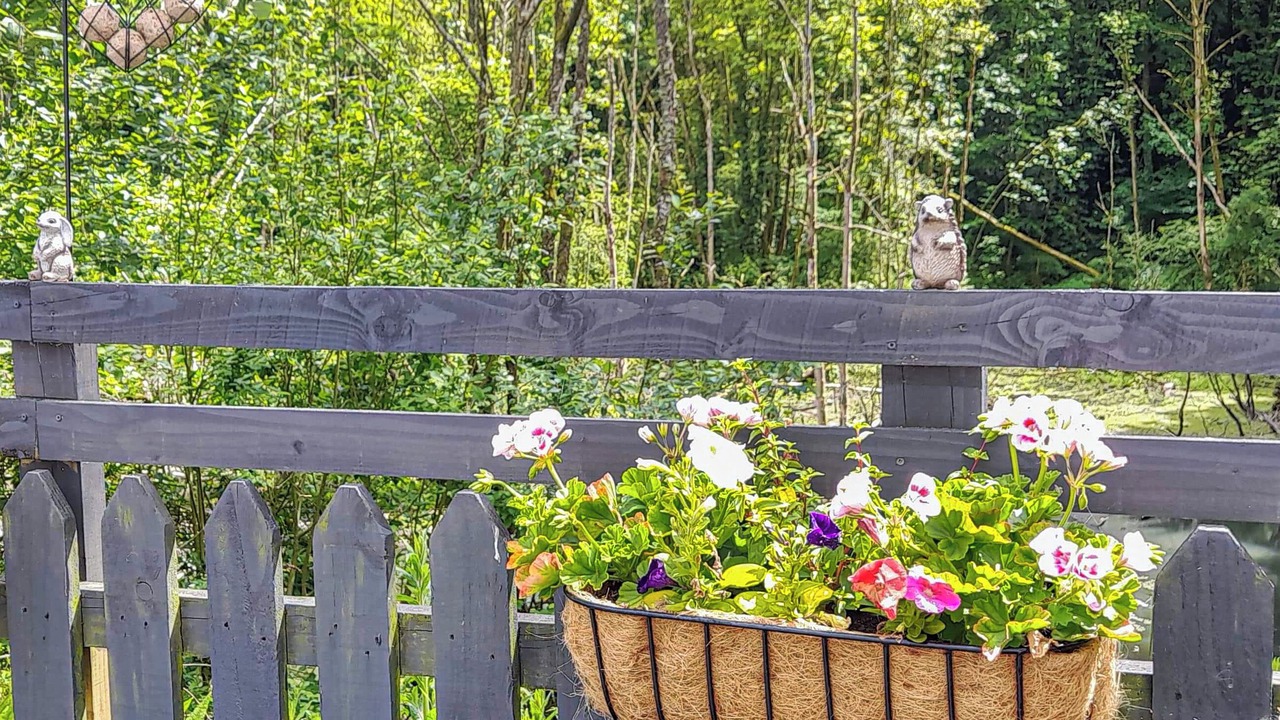 Photo of Others in Brigham