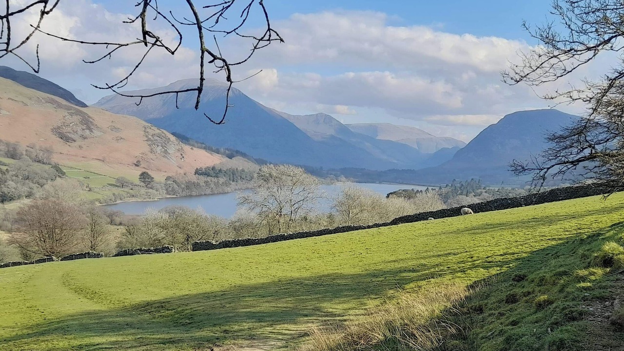 Photo of Others in Brigham