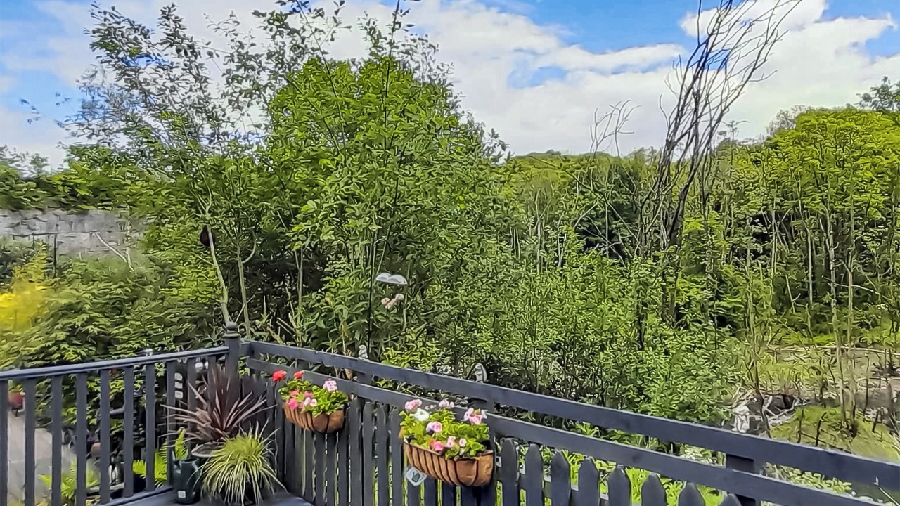 Photo of Others in Brigham