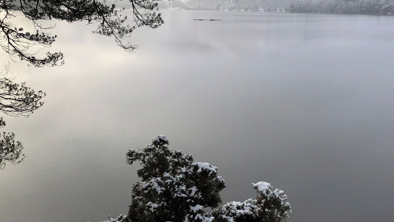 Photo of Others in Brigham