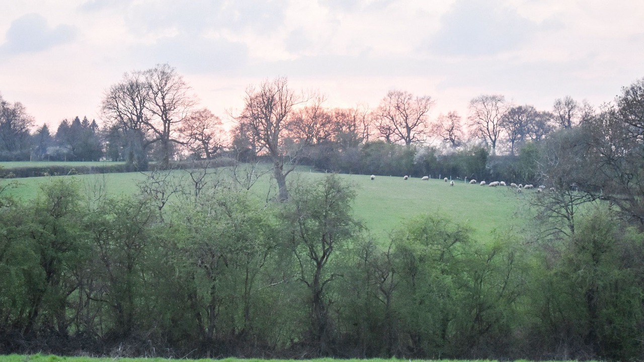 Photo of Outdoor in Calwich