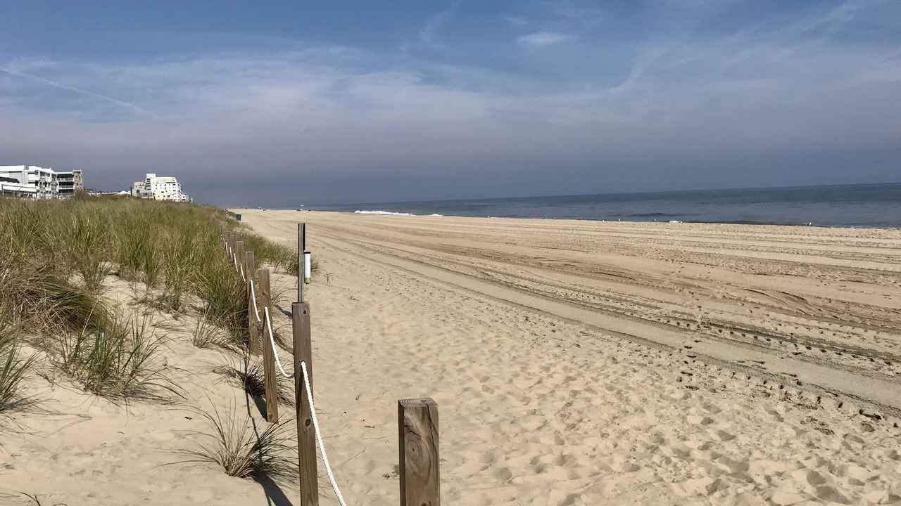 Photo of Others in Midtown Ocean City