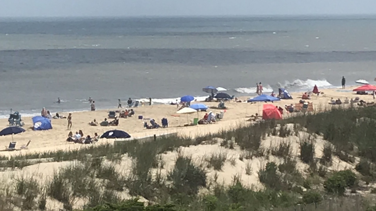 Photo of Others in Midtown Ocean City