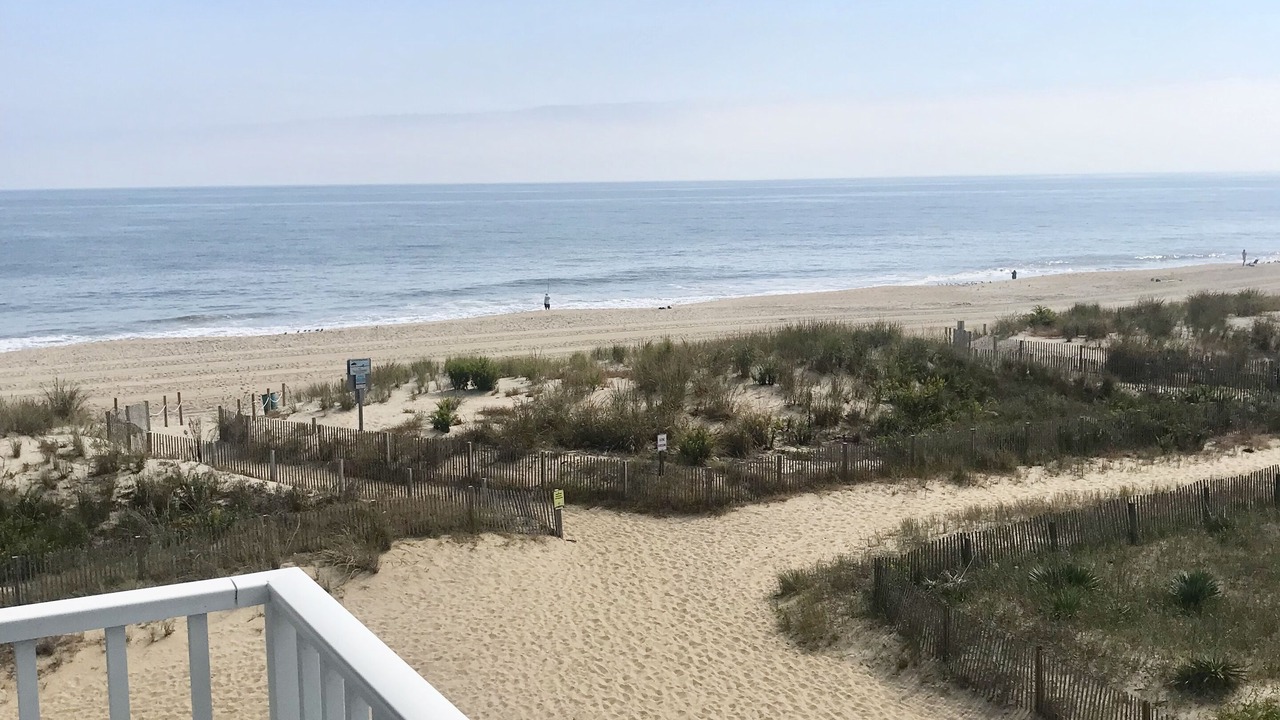 Photo of Others in Midtown Ocean City