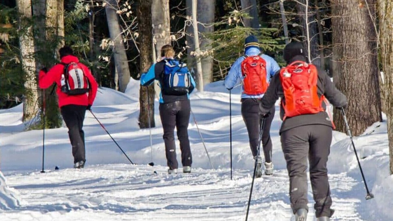 Photo of Others in St. Jerome