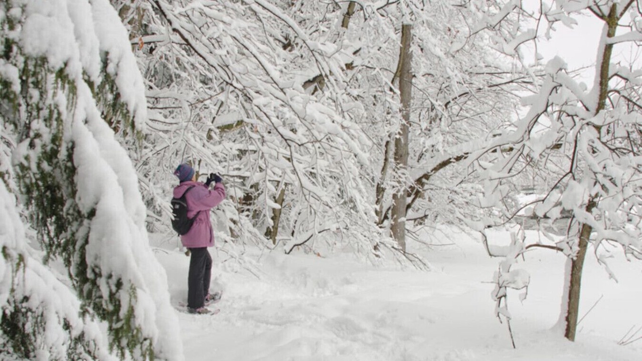 Photo of Others in St. Jerome