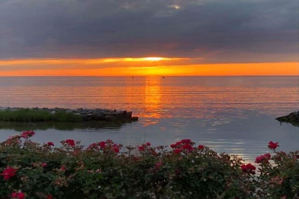 Photo of Others in Cape Charles