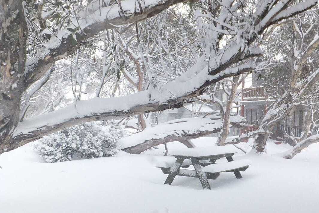 Photo of Outdoor in Dinner Plain