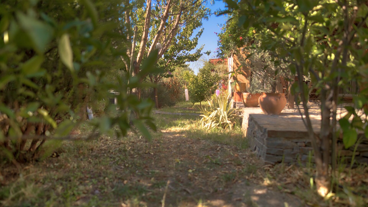 Photo of Outdoor in Neffies
