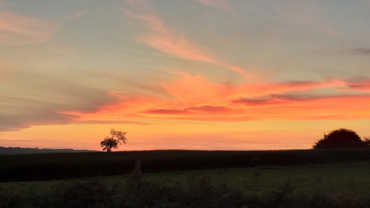 Photo of Others in Lonlay-l'Abbaye