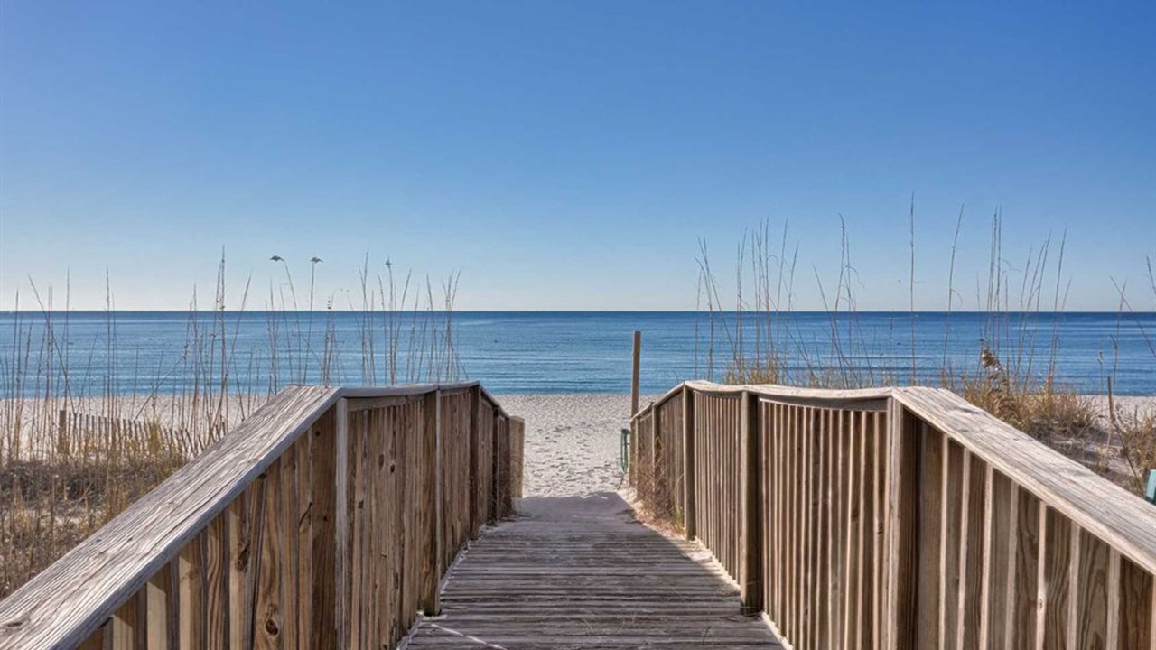 Photo of Others in Orange Beach East