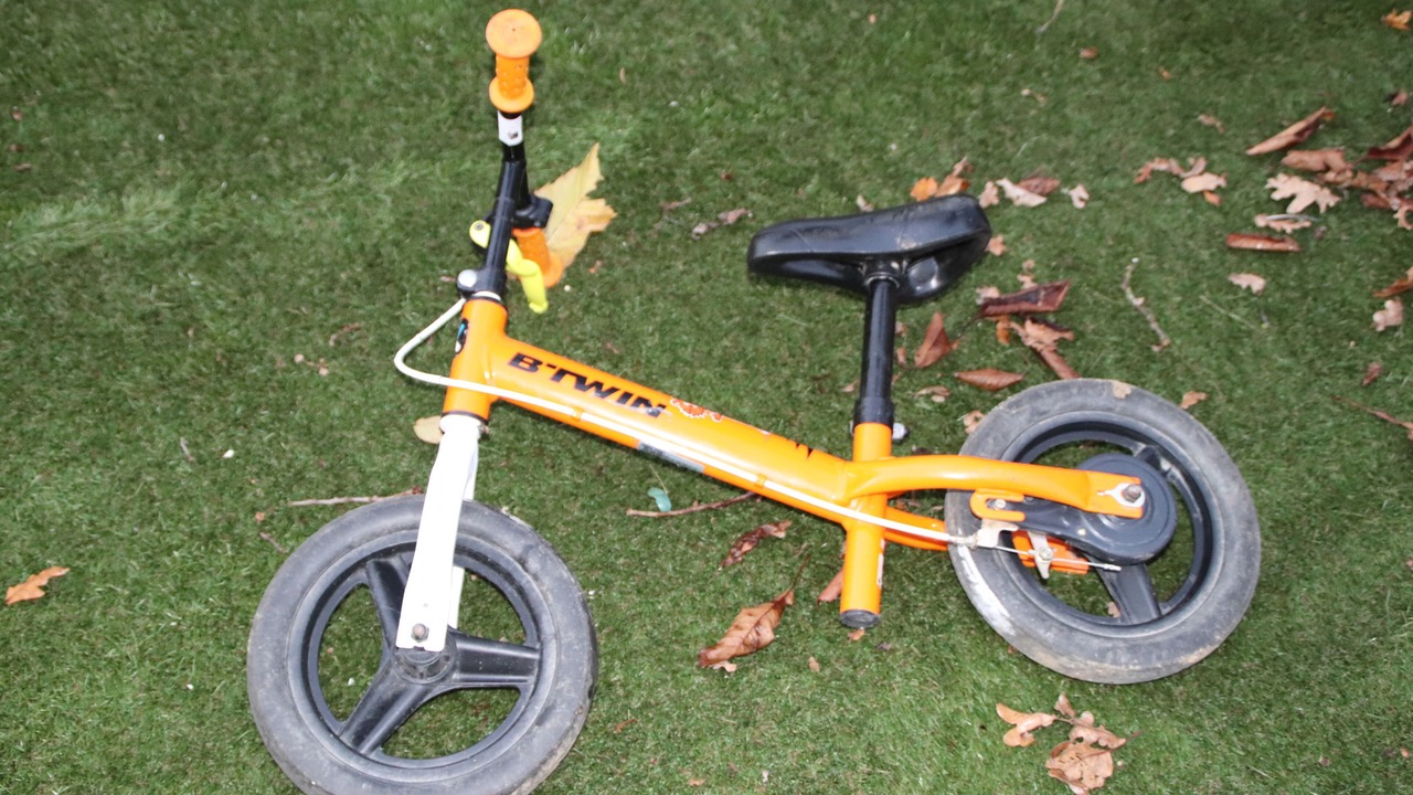 Photo of Others in Saint-Michel-Mont-Mercure