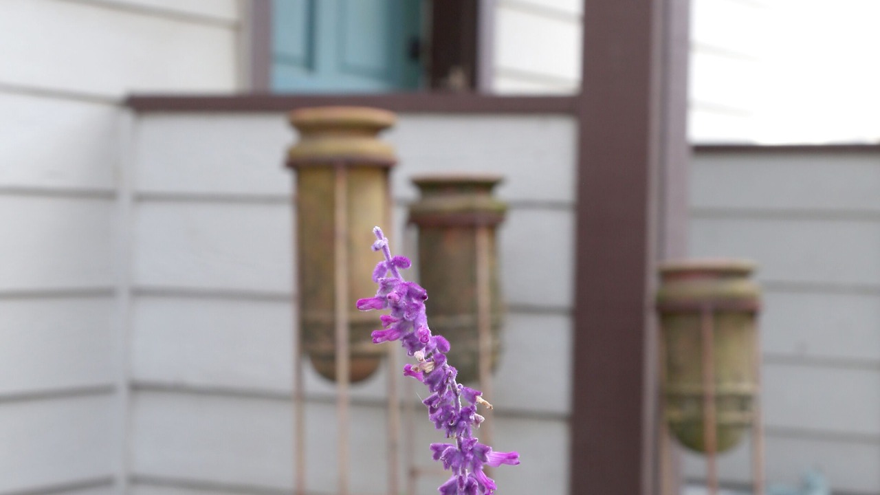 Photo of Outdoor in Davis