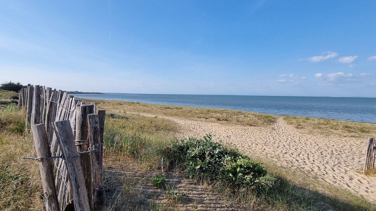 Photo of Others in Le Chateau-d'Oleron