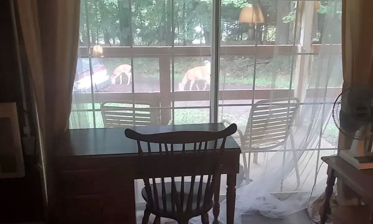 Photo of Others in Gouldsboro