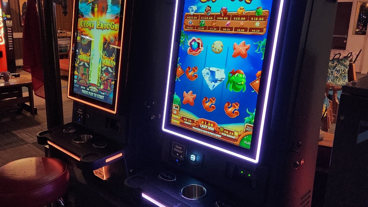 Photo of Others in Gouldsboro