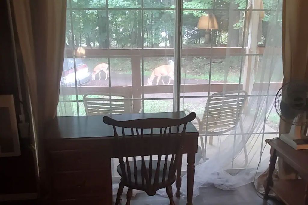 Photo of Others in Gouldsboro