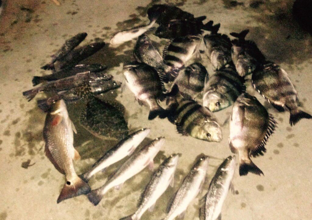 Photo of Others in Rockport