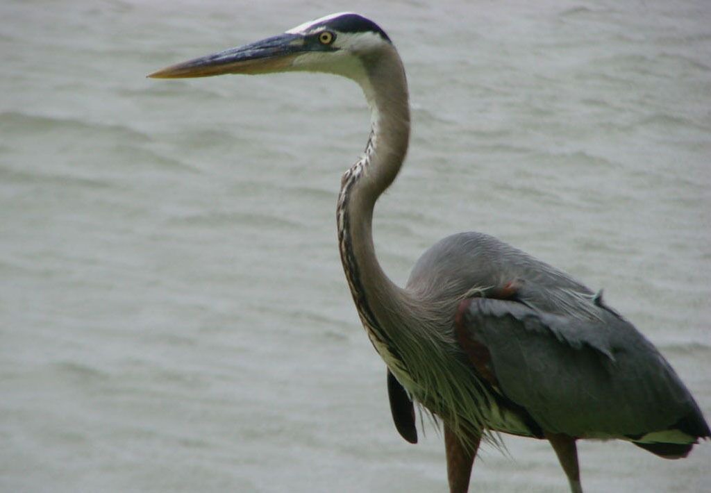 Photo of Others in Rockport
