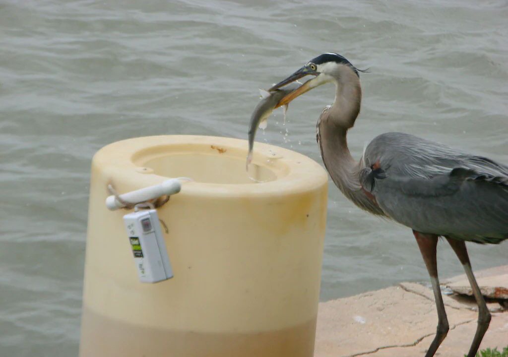 Photo of Others in Rockport