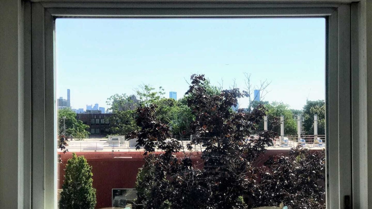 Photo of Others in Lower Allston