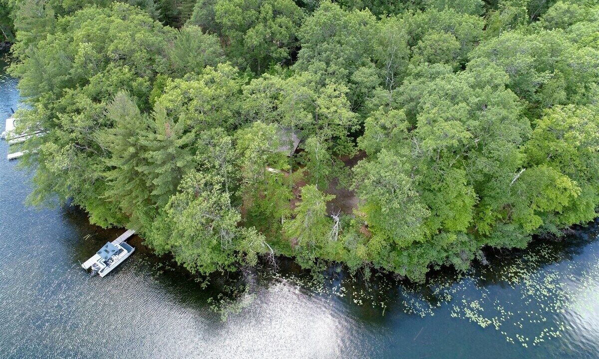 Photo of Others in Iron River