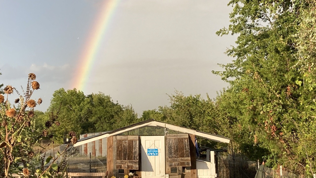 Photo of Outdoor in McLennan County